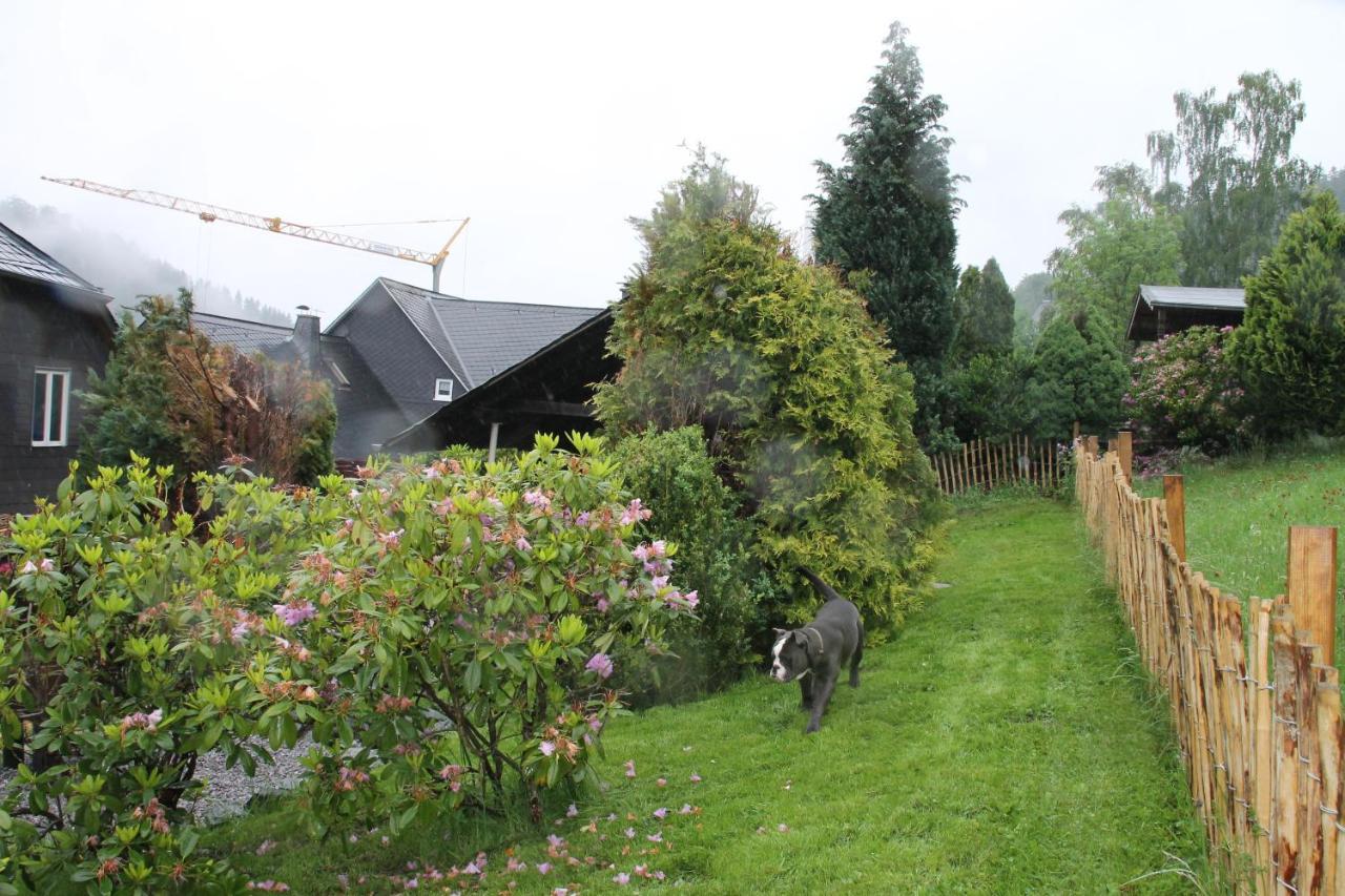 Ferienhaus Winterberg Fuer 12 Personen Sauna Garten Garage Hund Ngoại thất bức ảnh